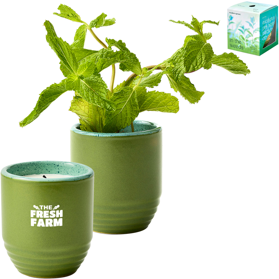 Product Photo 1 Modern Sprout® Garden Vibes Candle Mint Planter