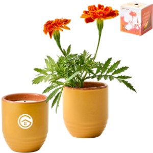 Modern Sprout® Garden Vibes Candle Marigold Planter - GM2586