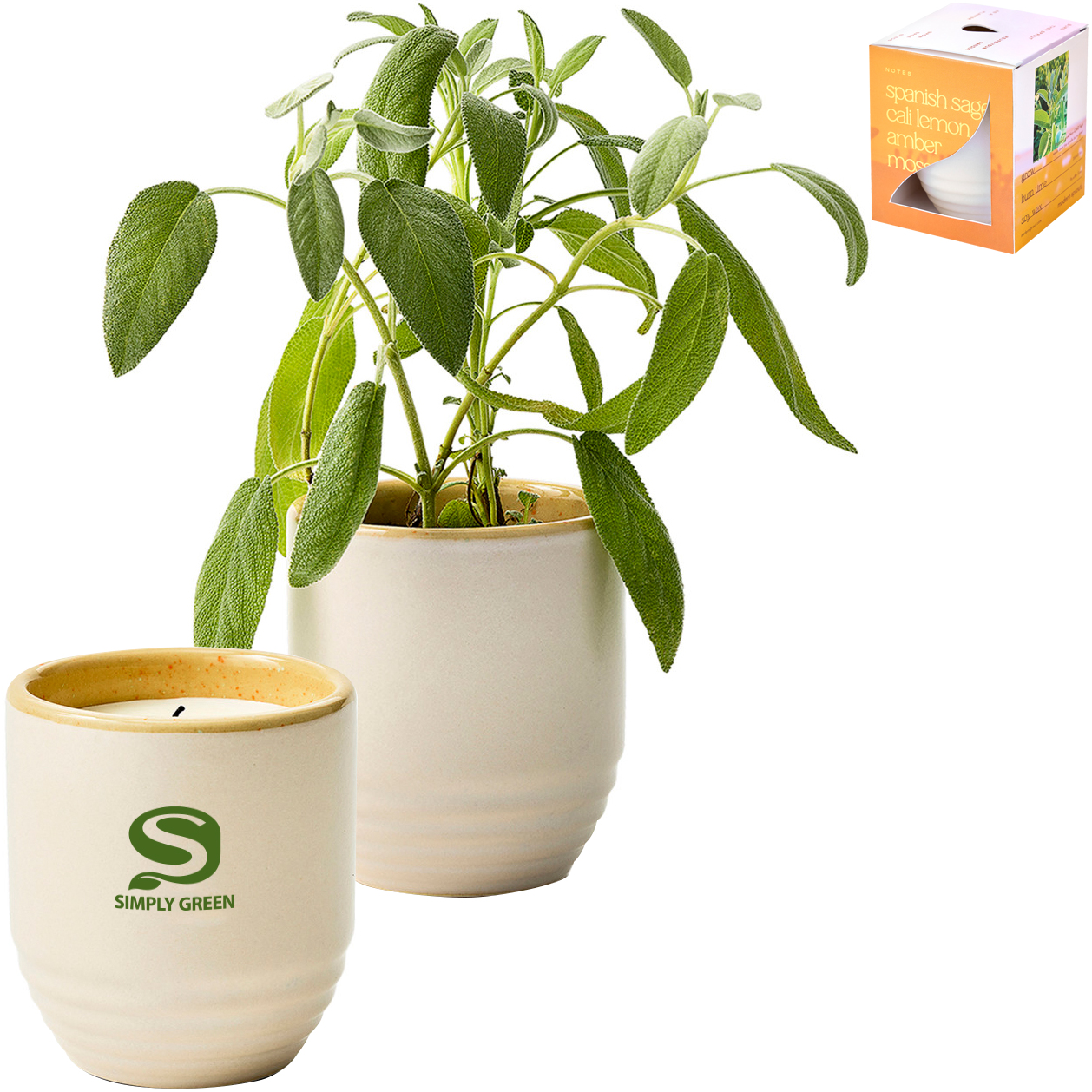 Product Photo 1 Modern Sprout® Garden Vibes Candle Sage Planter