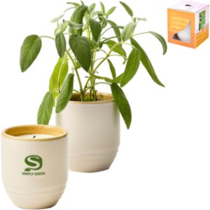 Modern Sprout® Garden Vibes Candle Sage Planter - GM2587