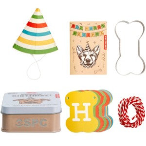 Kikkerland® Dog Happy Birthday Kit - IC1122