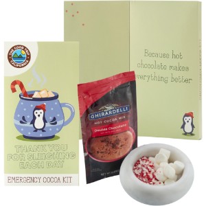 Holiday Greeting Card Cocoa Kit - MD9723