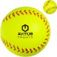Softball Stress Reliever