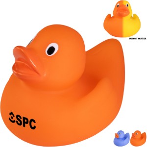Lil' Color-Changing Rubber Duck - AF2584