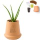 Modern Sprout® Modern Terracotta Grow Kit - Aloe