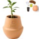 Modern Sprout® Modern Terracotta Grow Kit - Bonsai