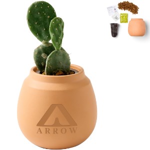 Modern Sprout® Modern Terracotta Grow Kit - Cactus - GM2703