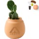 Modern Sprout® Modern Terracotta Grow Kit - Cactus
