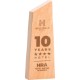 Beech Apex Award