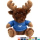 Minnie Moose Plush w/ Shirt, 6"
