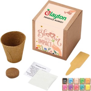 Bloom w/ Impact Planter in Kraft Gift Box w/ Label - JN2140