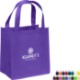 Little Thunder Non-Woven Tote