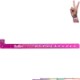 Holographic Event Wrist Bands