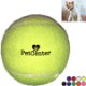 Pet Safe Fetch Toy Tennis Ball