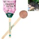 Modern Sprout® Flower Seed Pop - Bloomin' For You