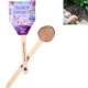 Modern Sprout® Flower Seed Pop - Hooray Bouquet