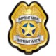 Junior Police Officer Star Badge, Gold