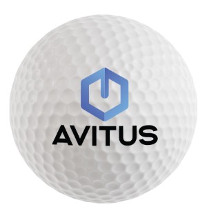 Professional Two-Piece Golf Ball - Direct Import - RP1064