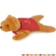 Bear Screen Cleaner Companion