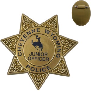Junior 7 Point Sheriff Star Badge, Pin Back - KN1006