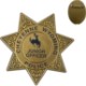 Junior 7 Point Sheriff Star Badge, Pin Back