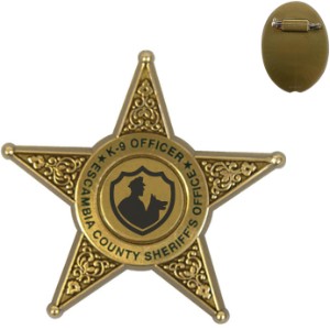 Junior 5 Point Sheriff Star Badge, Pin Back - KN1016
