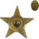 Junior 5 Point Sheriff Star Badge, Pin Back