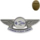 Junior Flight Crew Wing Badge, Pin Back