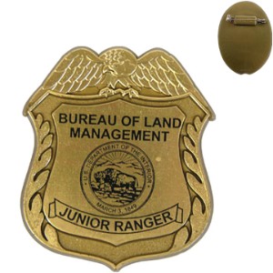 Junior Eagle Design Badge, Pin Back - KN1041