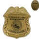 Junior Eagle Design Badge, Pin Back