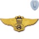Junior Pilot Wing Shield Badge, Clip Back