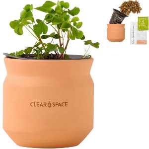 Modern Sprout® Tiny Terracotta Planter - Lucky to Have You - GM2871