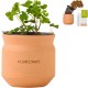 Modern Sprout® Tiny Terracotta Planter - Lucky to Have You