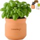Modern Sprout® Tiny Terracotta Planter - Big Congrats