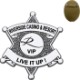 Junior 6 Point Sheriff Star Plastic Badge, Pin Back
