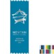 Premium Satin Ribbon, 2" x 6"