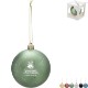 Frost Drop Ornament